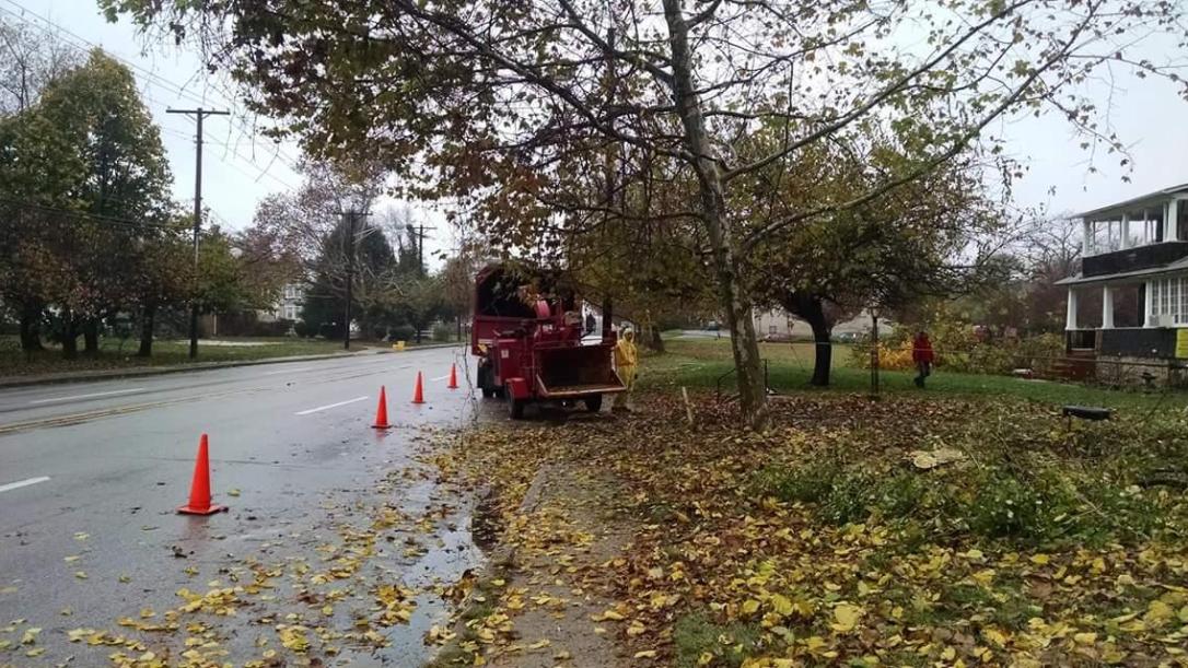 annapolis-tree-removal-roadside-debree.jpg
